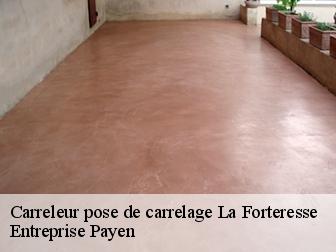Carreleur pose de carrelage  la-forteresse-38590 Entreprise Payen