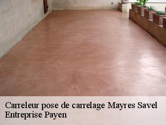 Carreleur pose de carrelage  mayres-savel-38350 Entreprise Payen