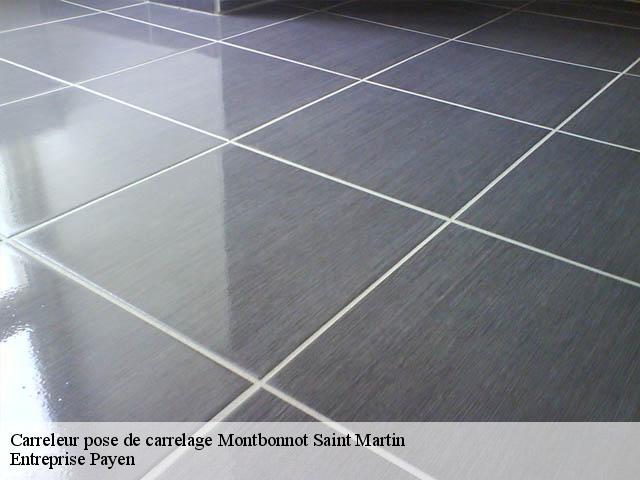 Carreleur pose de carrelage  38330