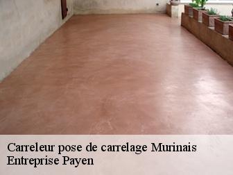 Carreleur pose de carrelage  murinais-38160 Entreprise Payen