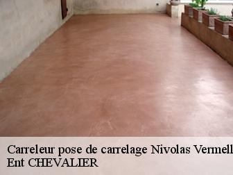 Carreleur pose de carrelage nivolas-vermelle-38300 Ent CHEVALIER