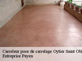 Carreleur pose de carrelage  oytier-saint-oblas-38780 Entreprise Payen