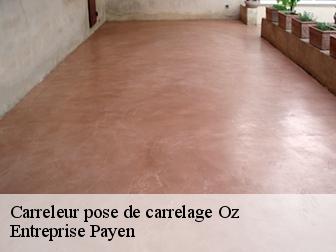 Carreleur pose de carrelage  oz-38114 Entreprise Payen