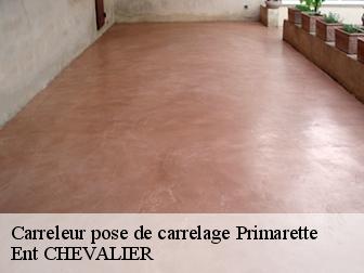 Carreleur pose de carrelage primarette-38270 Ent CHEVALIER
