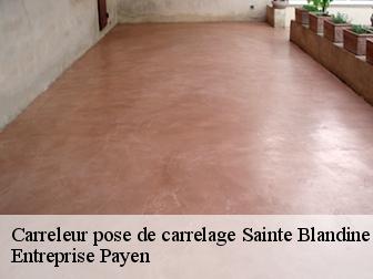 Carreleur pose de carrelage  sainte-blandine-38110 Entreprise Payen