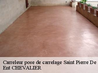 Carreleur pose de carrelage saint-pierre-de-chartreuse-38380 Ent CHEVALIER