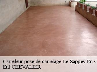 Carreleur pose de carrelage le-sappey-en-chartreuse-38700 Ent CHEVALIER