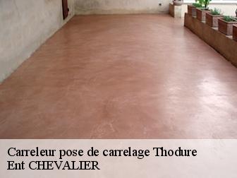 Carreleur pose de carrelage thodure-38260 Ent CHEVALIER