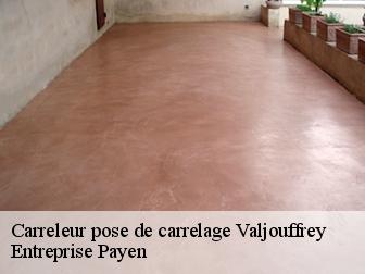 Carreleur pose de carrelage  valjouffrey-38740 Entreprise Payen