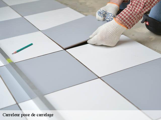 Carreleur pose de carrelage