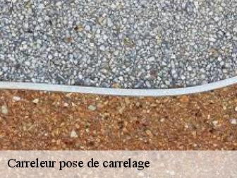 Carreleur pose de carrelage