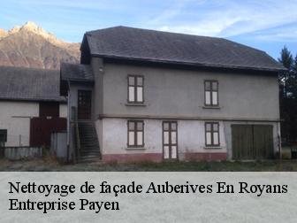 Nettoyage de façade  auberives-en-royans-38680 Entreprise Payen