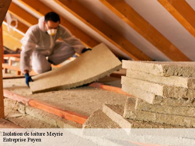 Isolation de toiture  meyrie-38300 Entreprise Payen