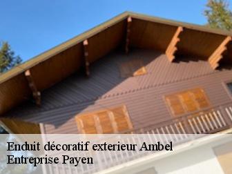 Enduit décoratif exterieur  ambel-38970 Entreprise Payen