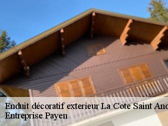 Enduit décoratif exterieur  la-cote-saint-andre-38260 Entreprise Payen